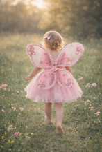 Load image into Gallery viewer, Butterfly Dress in Blush and Removable Wings