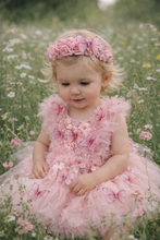 Load image into Gallery viewer, Blush and Light Pink Butterfly Headpiece