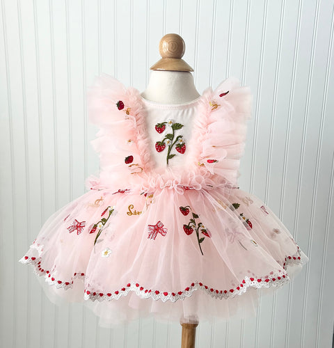 Strawberry Dress, Blush Strawberry Dress