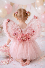 Load image into Gallery viewer, Blush Butterfly Dress and Removable Lace Wings, Blush Wings and Dress